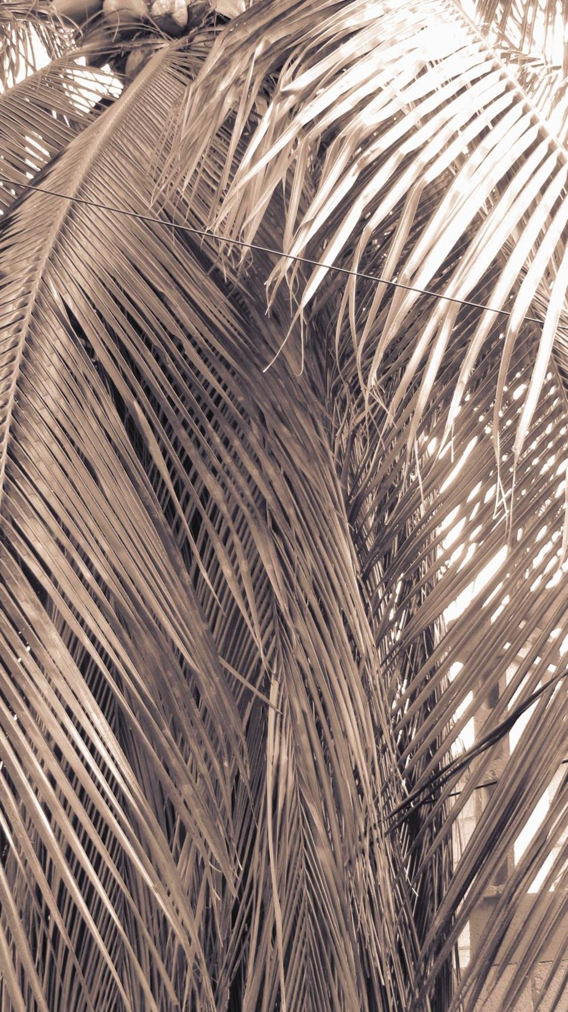 Cocos Lägenhet Cancún Exteriör bild